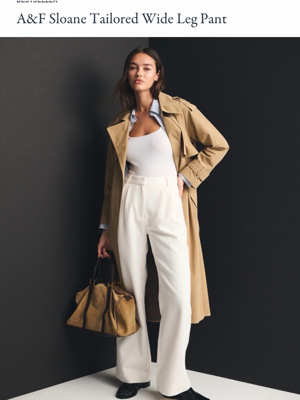 Abercrombie & Fitch Sloane Wide Leg Pant - Beige BNWT Size 29